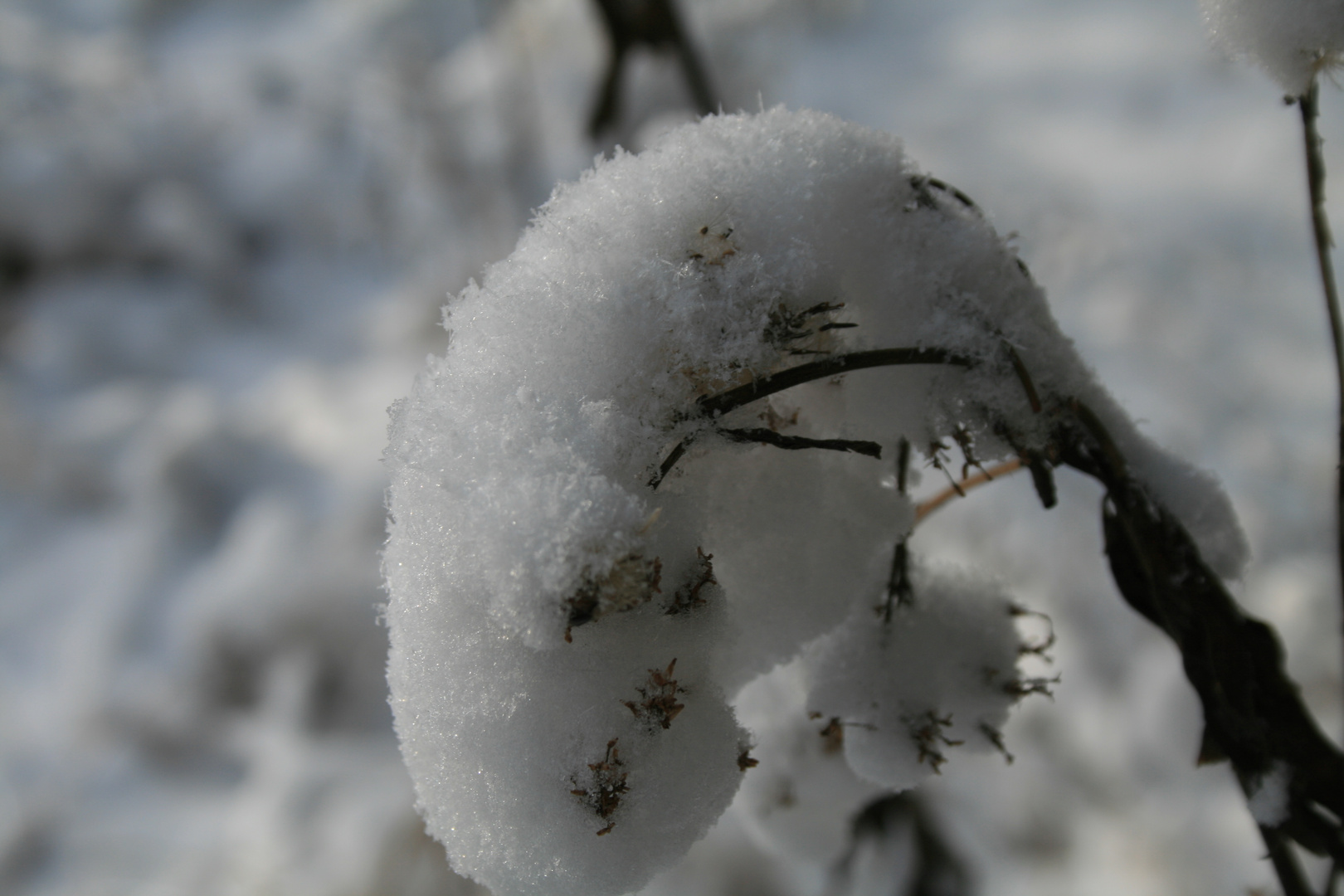 Als wir noch echten Winter hatten ...