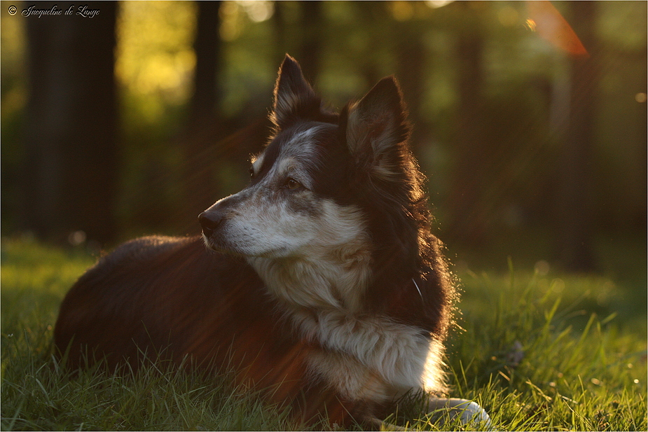 Als wir noch Sommer hatten....