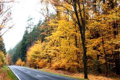 als würde man durch eine goldene Landschaft fahren