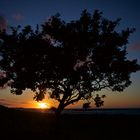 als würden die Wolken im Baum hängen.....