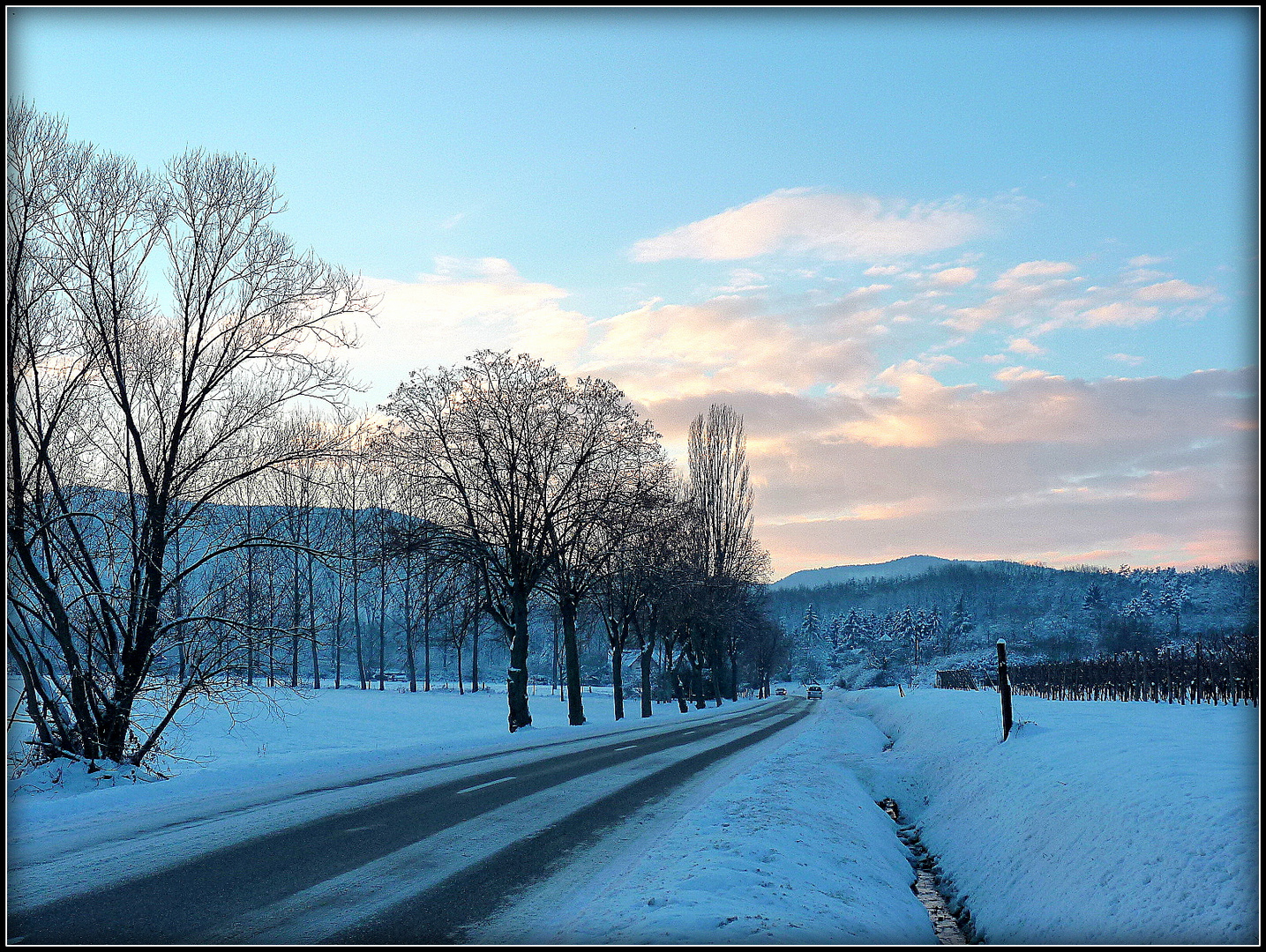 Alsace 