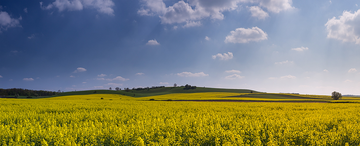 Alsace Bossue - Krummes Elsaß