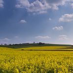 Alsace Bossue - Krummes Elsaß