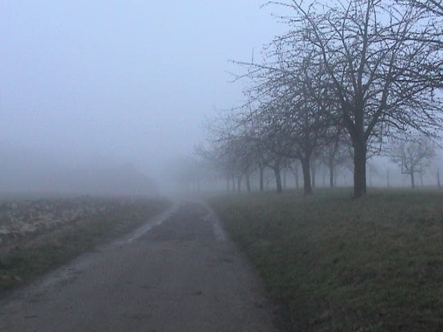 alsace fog