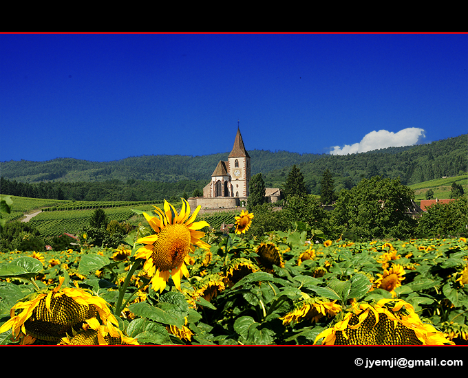 Alsace, Hunawihr