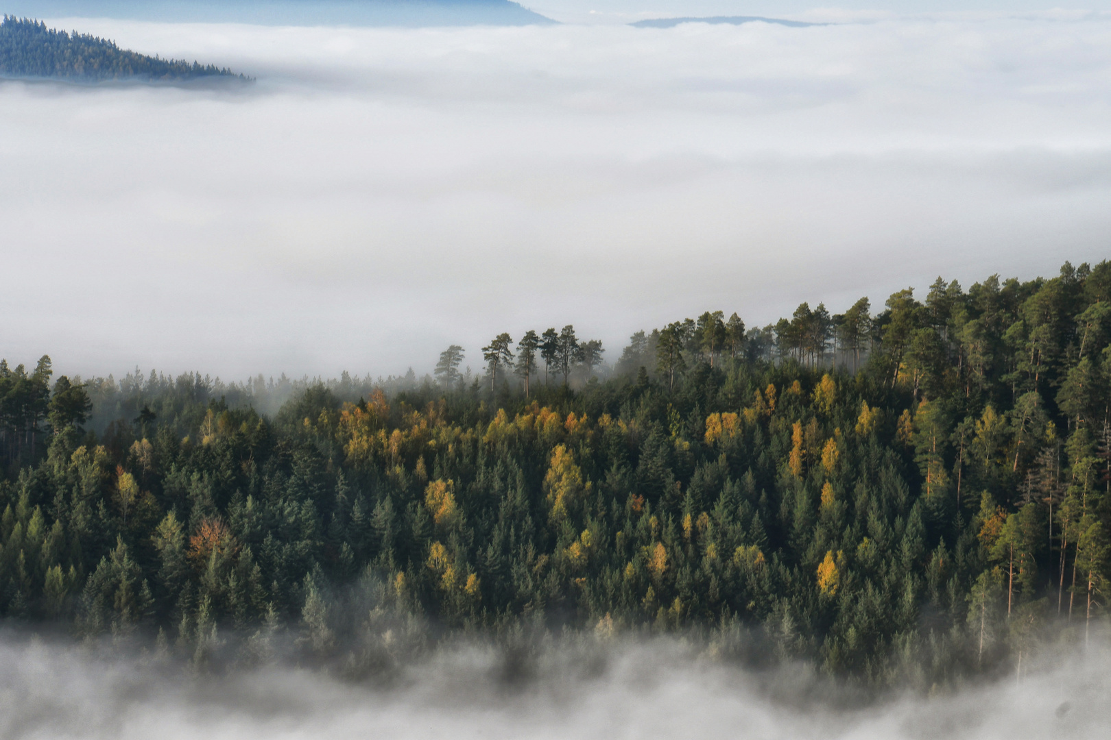 Alsace impressions