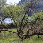 Alsace, Lac du Kruth-Wildenstein, Zone de bioversité