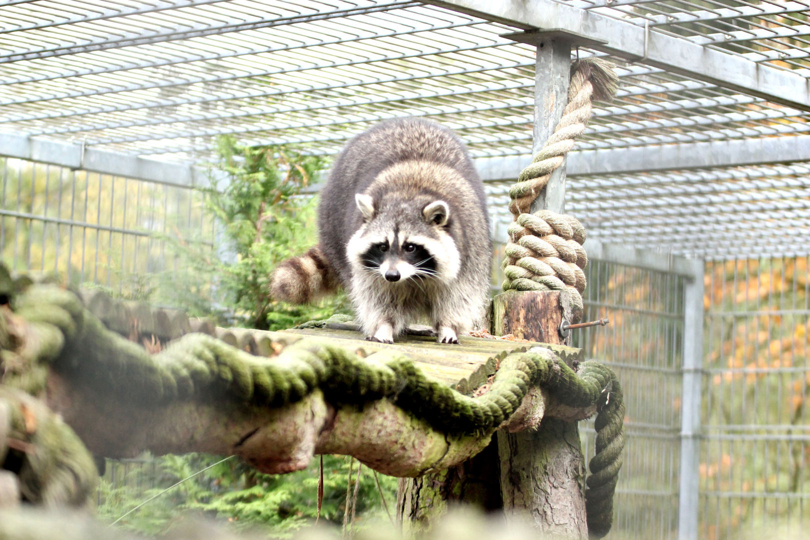 Alsdorfer Tierpark