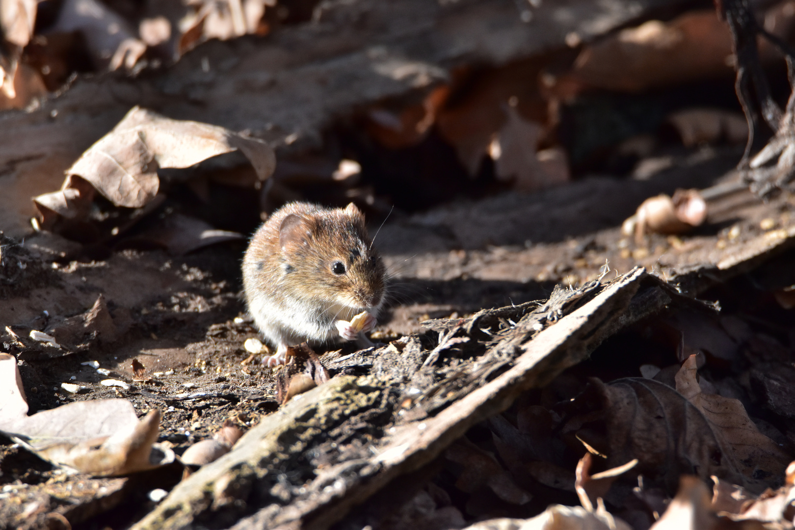 Also mir schmeckt´s :-)