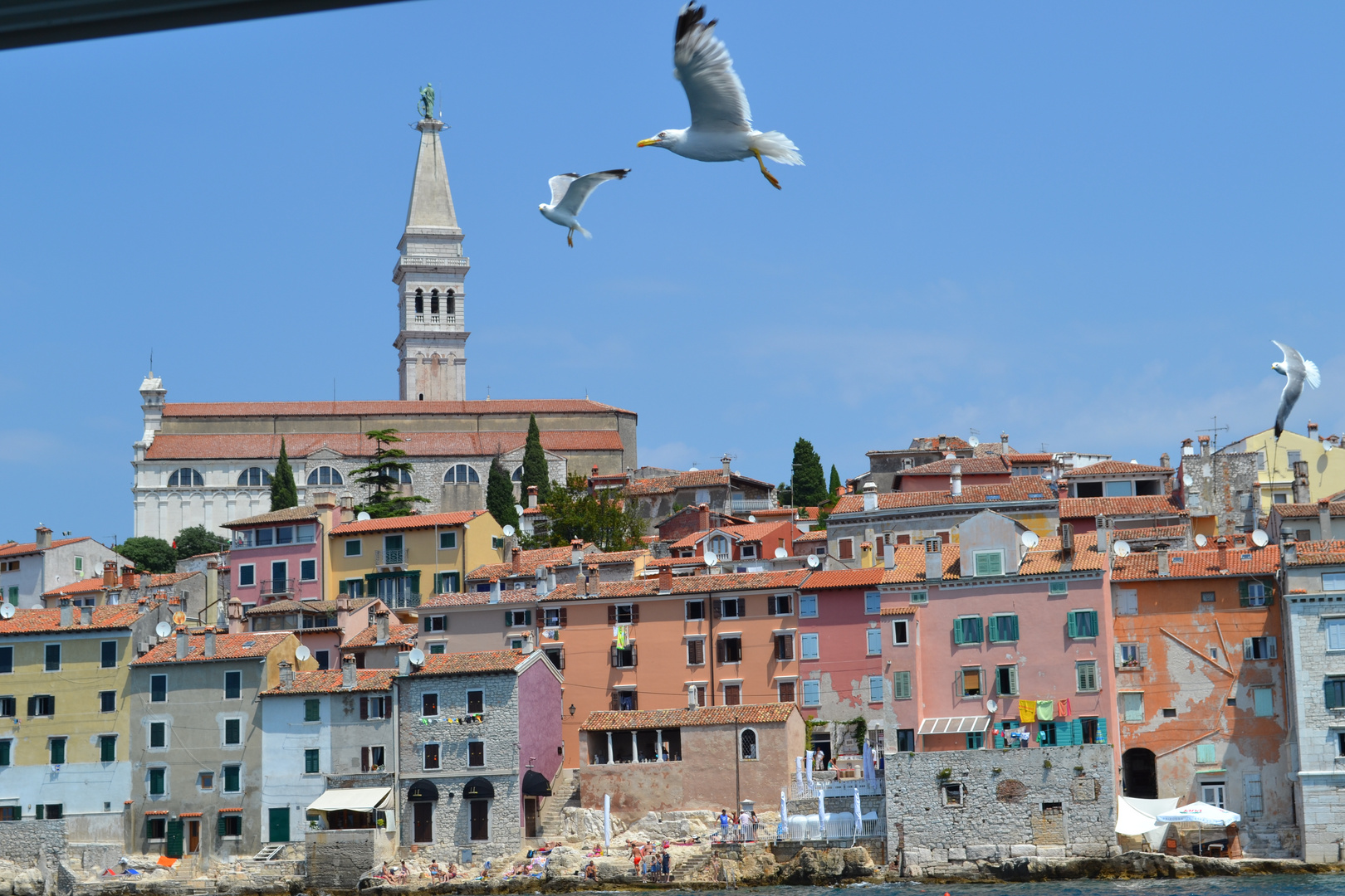 Alstadt Rovinj