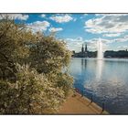 Alster 1