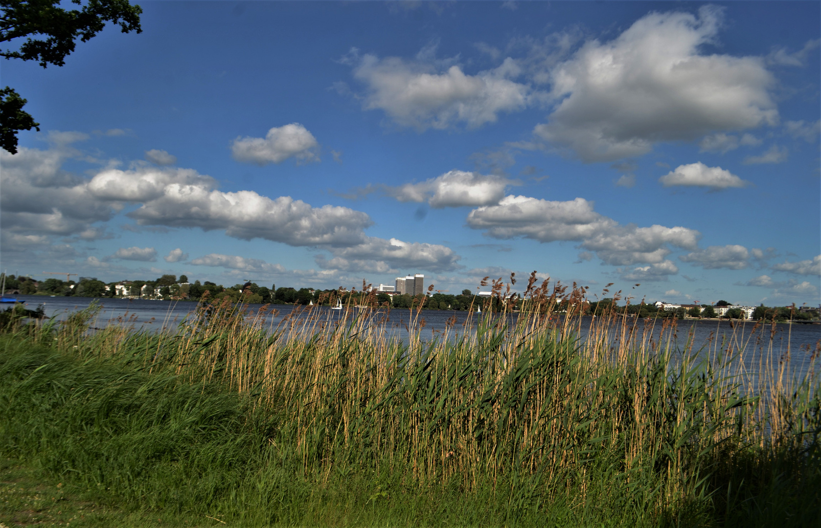 Alster