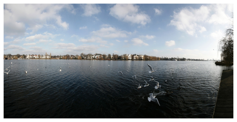 Alster