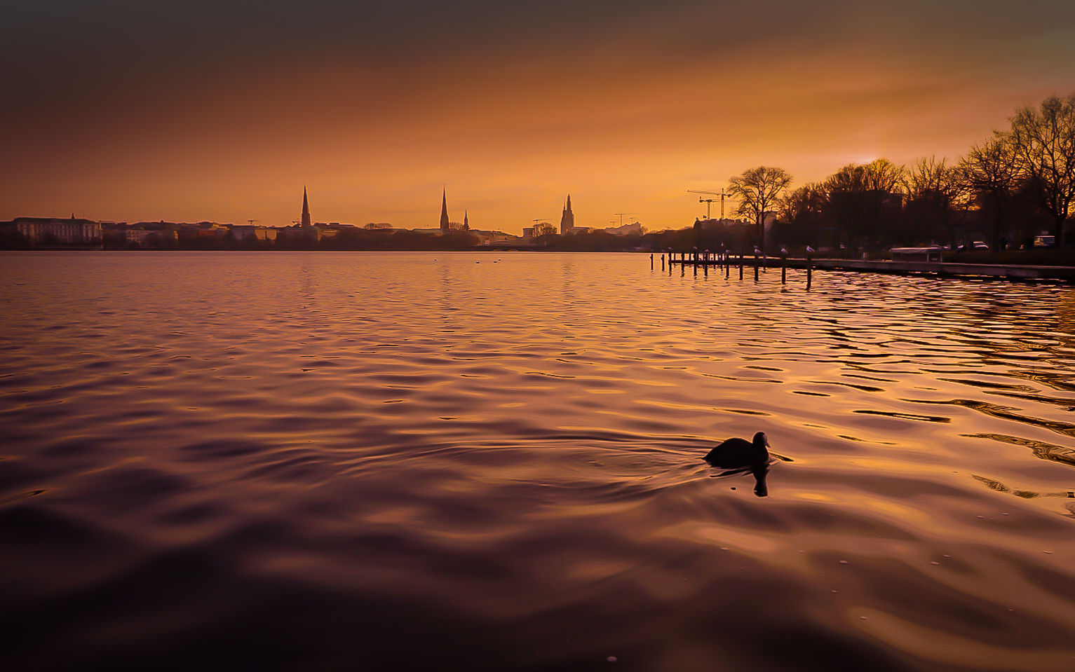 Alster