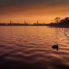 Alster