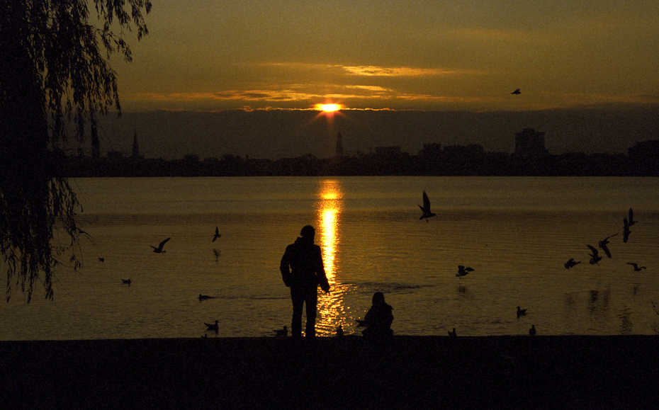 Alster