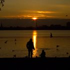 Alster