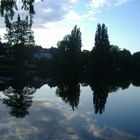 Alster