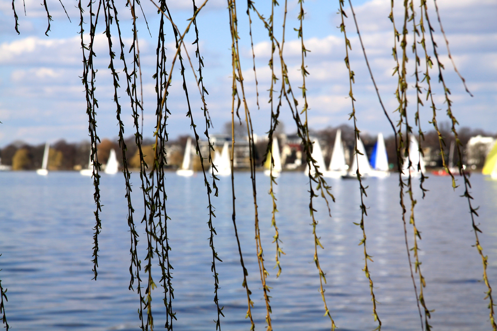 Alster