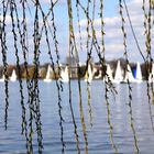 Alster