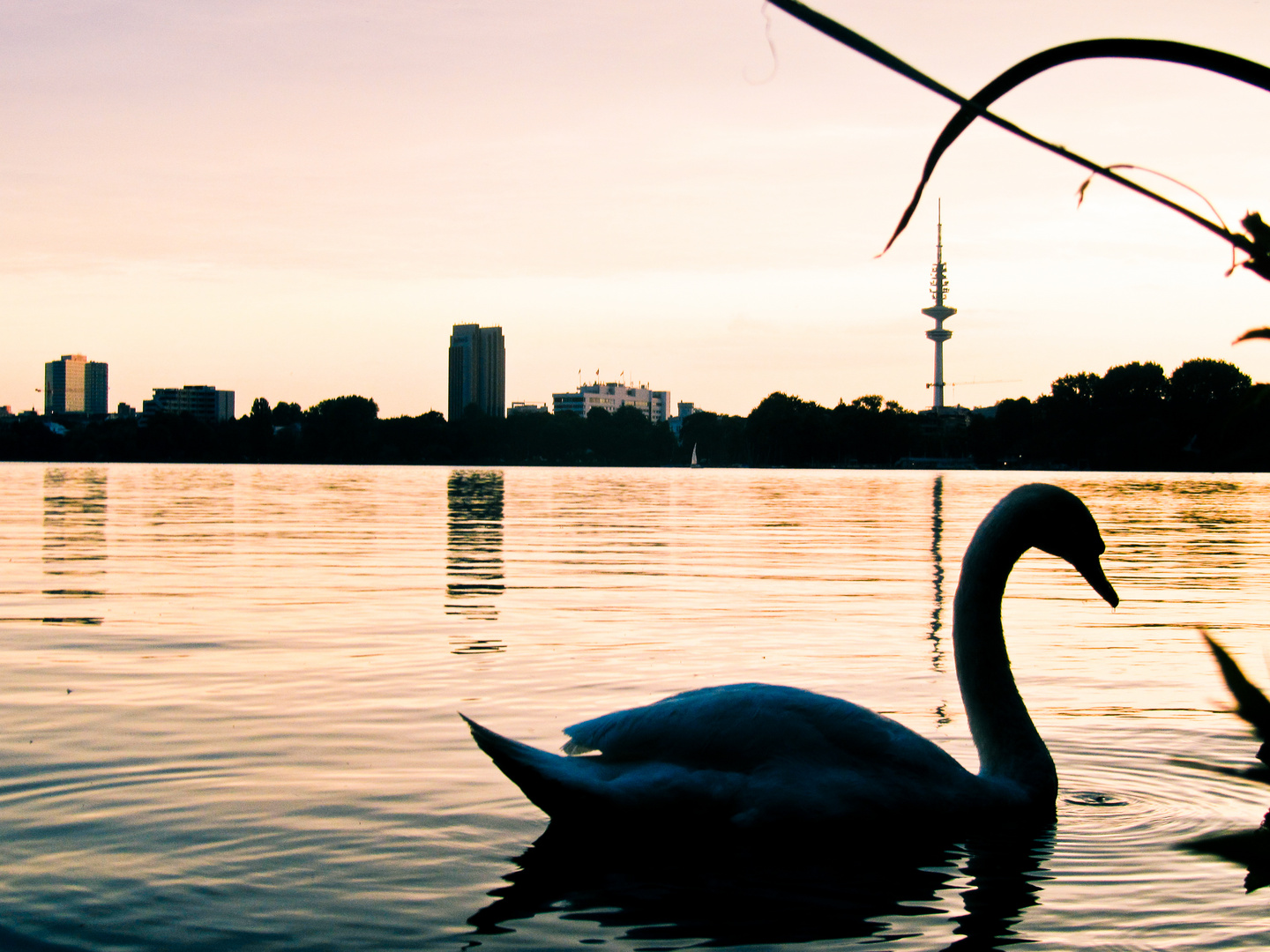 Alster