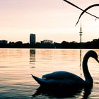 Alster