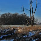 Alster bei Stegen