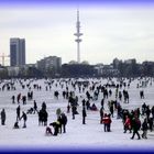 Alster-Eis-Vergnügen 2012 die zweite