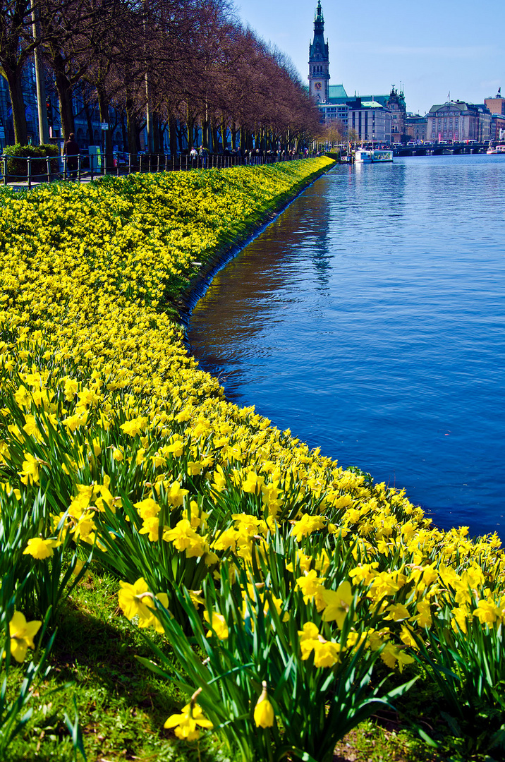 Alster frühling 2011