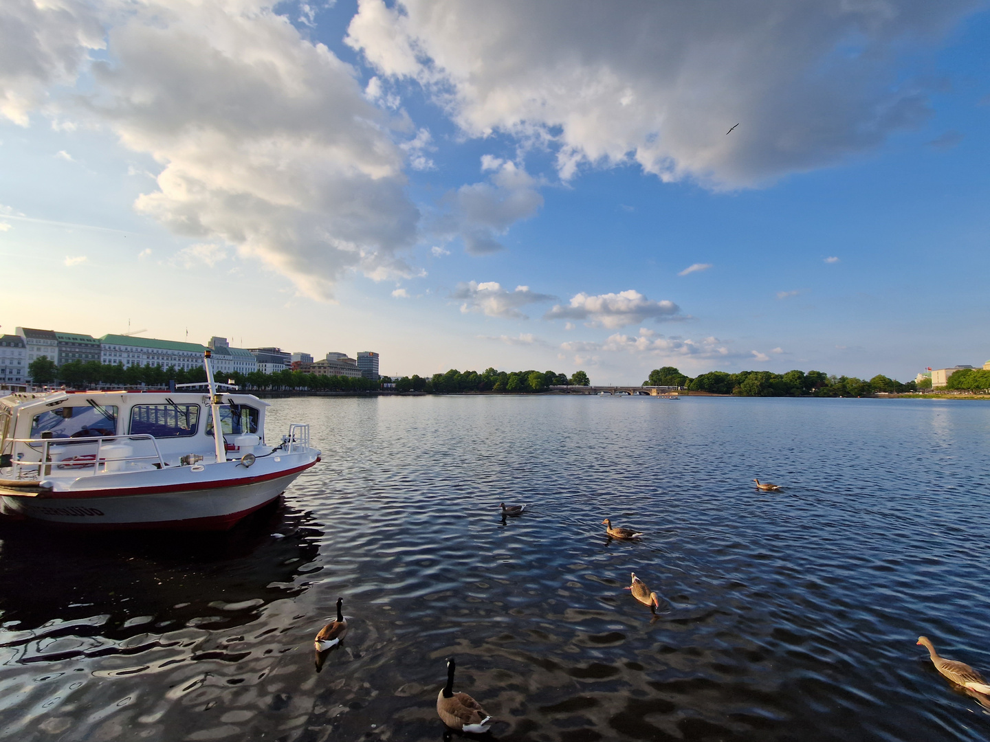 Alster, Hamburg