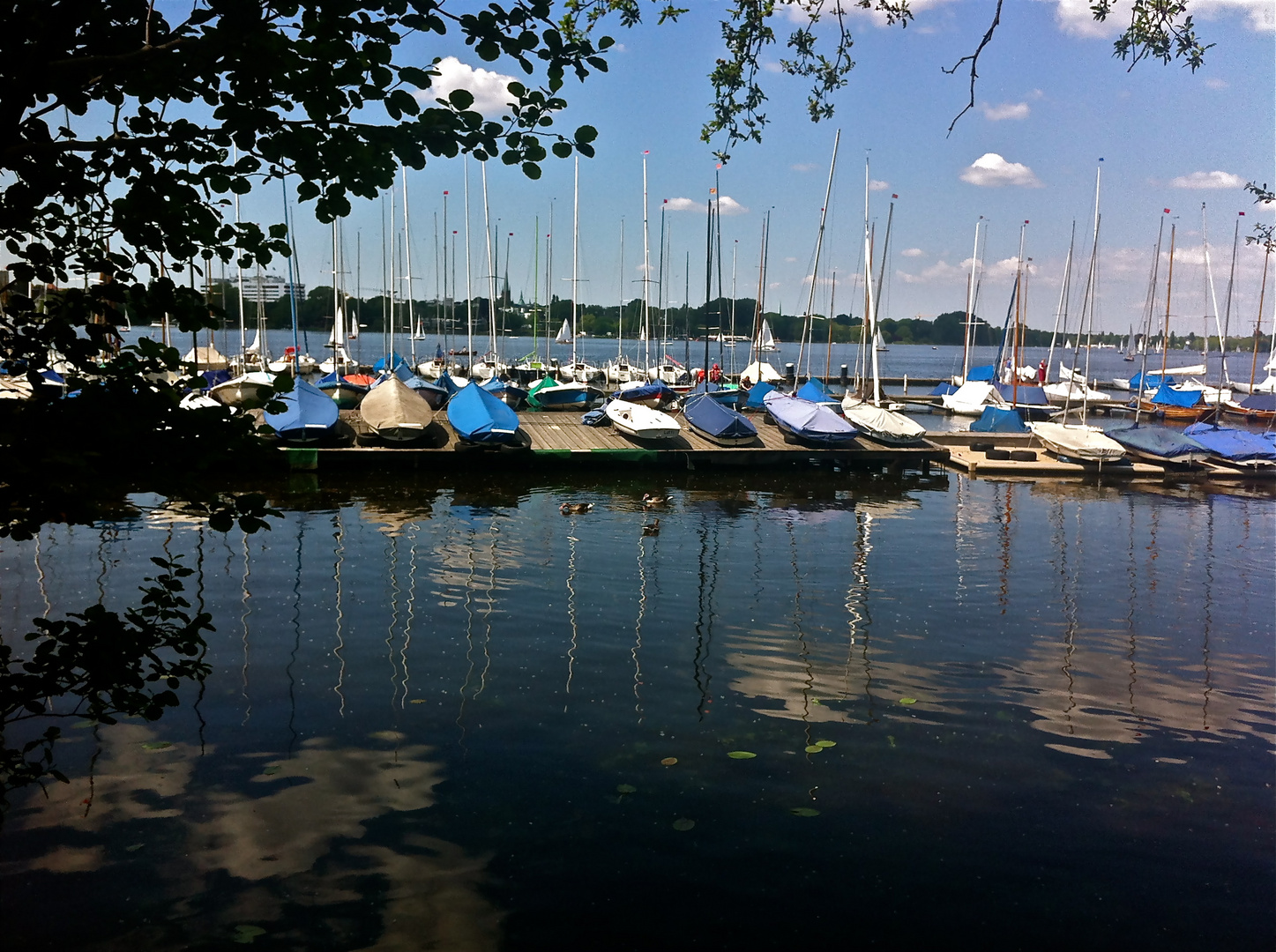 Alster Hamburg