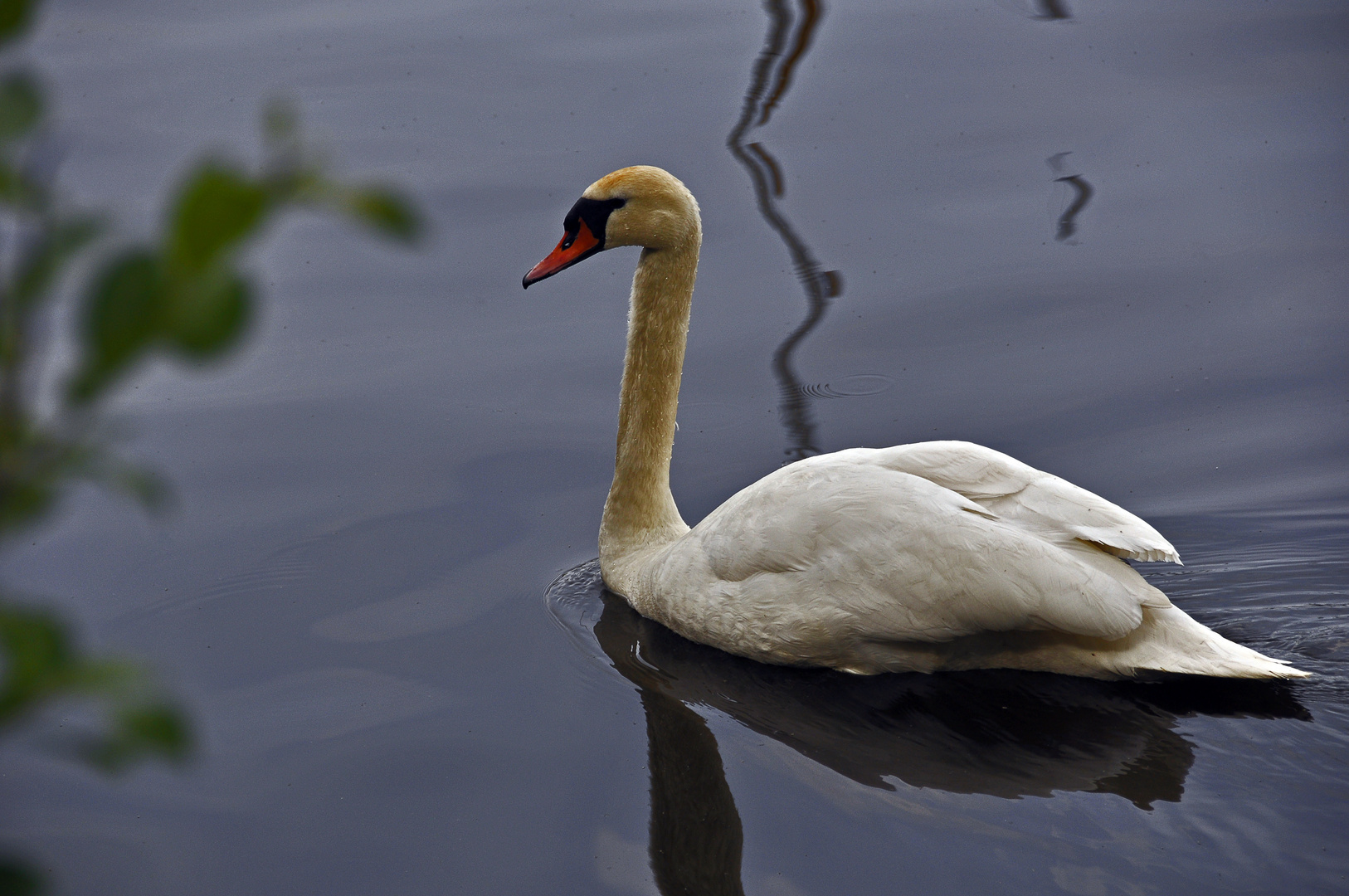 Alster-Idylle