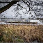 Alster im März