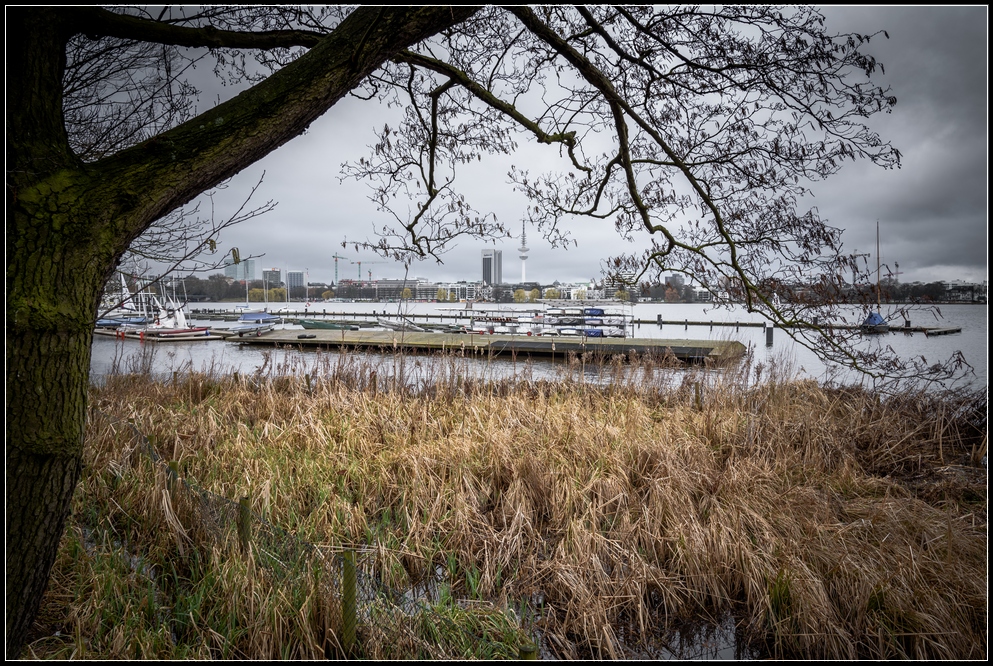 Alster im März