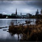 Alster im März II