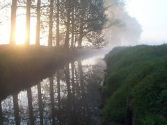 Alster im Nebel