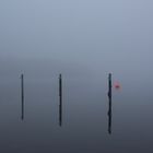 Alster in Nebel gehüllt