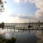 Alster in November