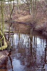 Alster in Poppenbüttel (2)