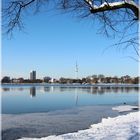 Alster März 2013