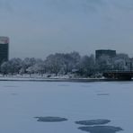 Alster Panorama