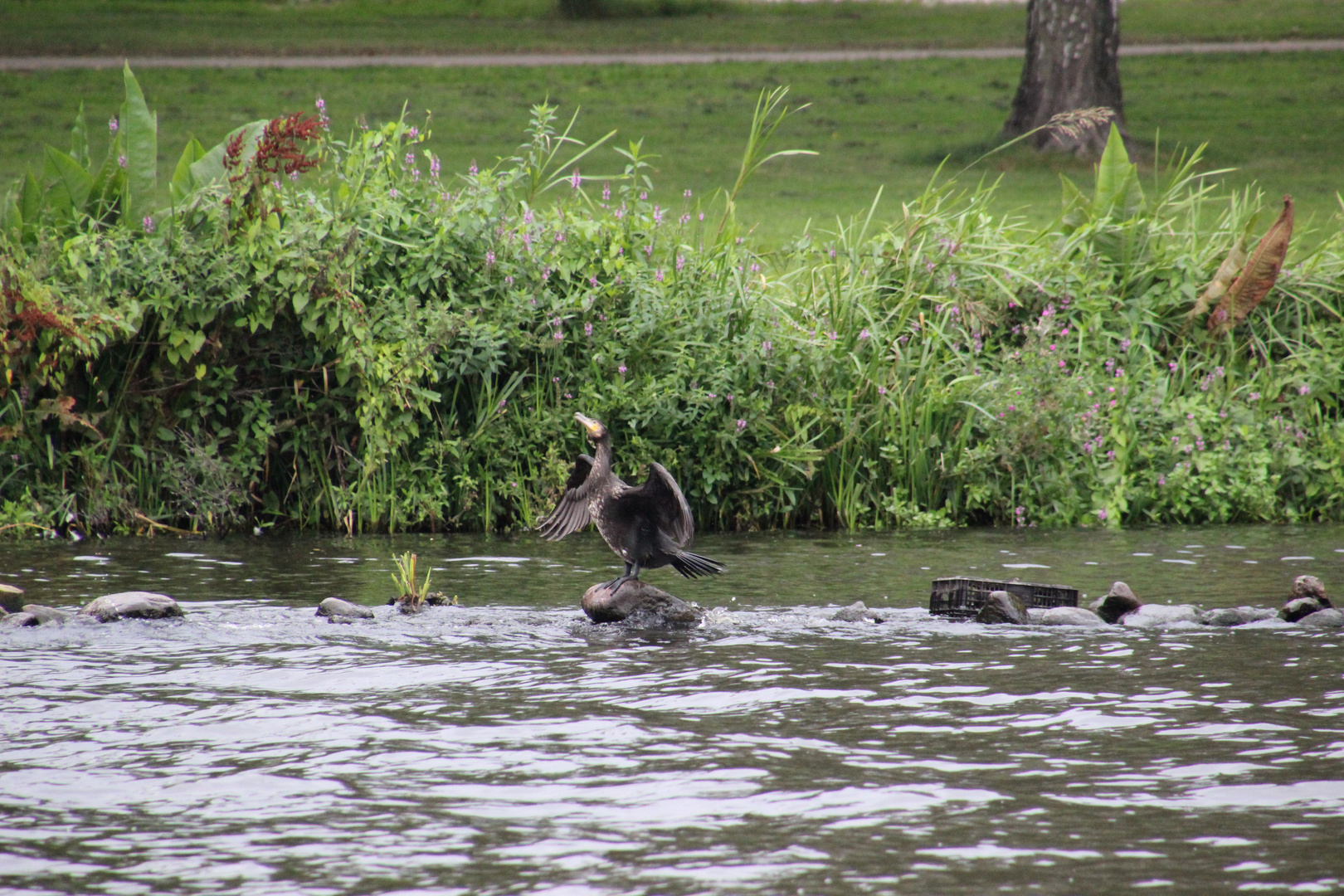 Alster Rundfahrt 09.2015