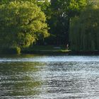 Alster Sailing