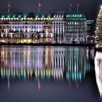 Alster Tanne