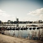 Alster2