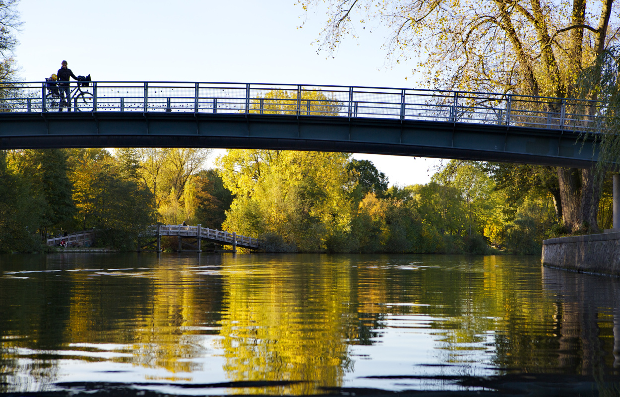 Alsterblicke im Herbst_1