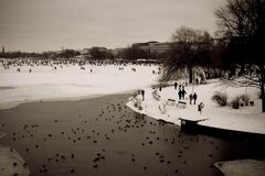 Alster(eis)vergnügen 2