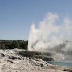 Alsterfontaene am Ende der Welt oder Geyser in Whakarewarewa