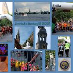 Alsterlauf 2012