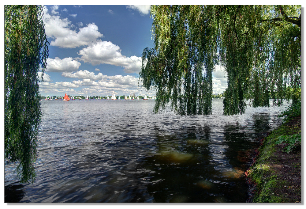 Alsterpark mit Durchblick